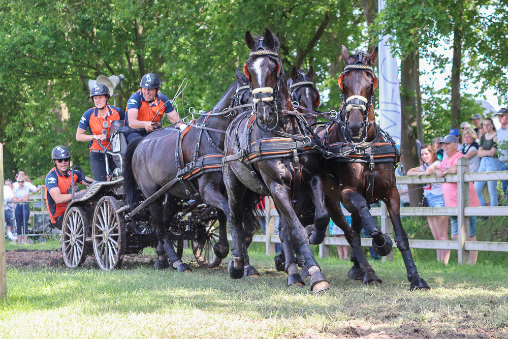 Dutch Harness Horses to be featured in Valkenswaard - DVI - Driving  Valkenswaard International