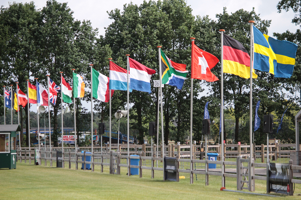 Van der Wiel single harness for winner Pro-Am Challenge - DVI - Driving  Valkenswaard International