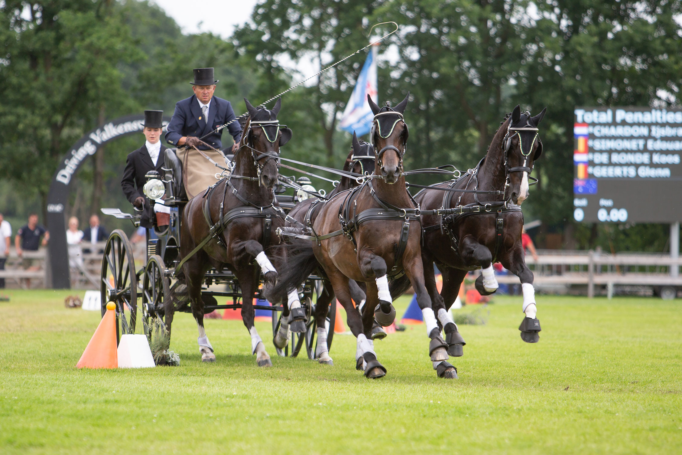 Van der Wiel single harness for winner Pro-Am Challenge - DVI - Driving  Valkenswaard International