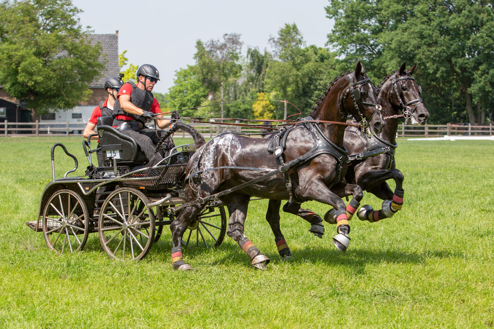 Van der Wiel single harness for winner Pro-Am Challenge - DVI - Driving  Valkenswaard International