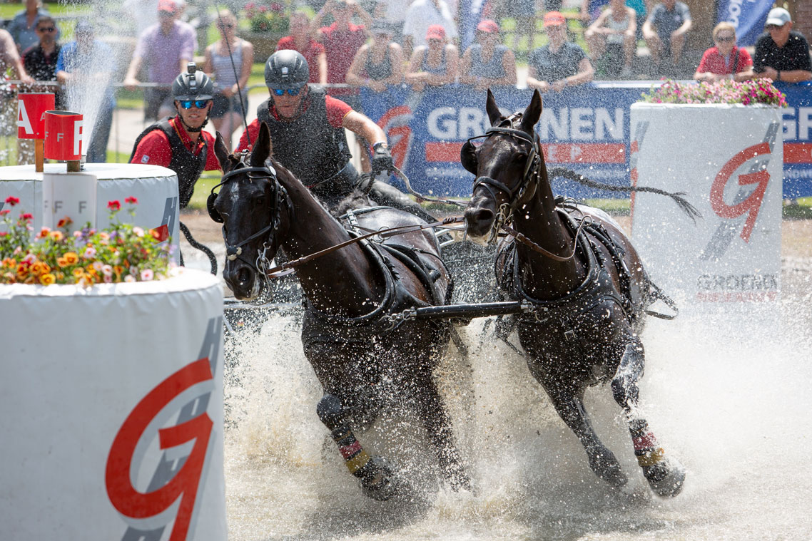 Van der Wiel single harness for winner Pro-Am Challenge - DVI - Driving  Valkenswaard International