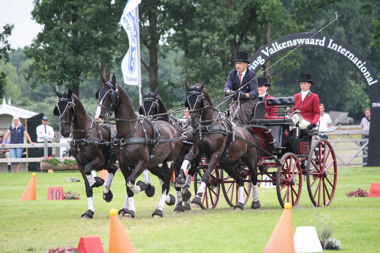 Van der Wiel single harness for winner Pro-Am Challenge - DVI - Driving  Valkenswaard International