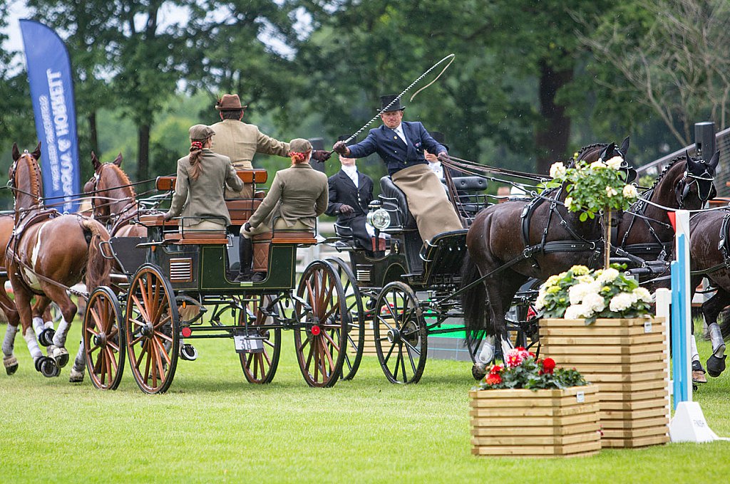 Dutch Harness Horses to be featured in Valkenswaard - DVI - Driving  Valkenswaard International