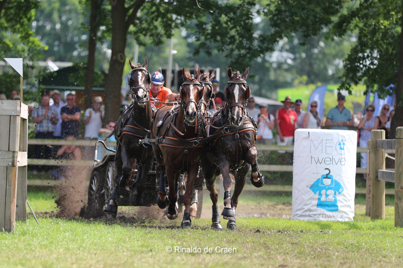 Dutch Harness Horses to be featured in Valkenswaard - DVI - Driving Valkenswaard International