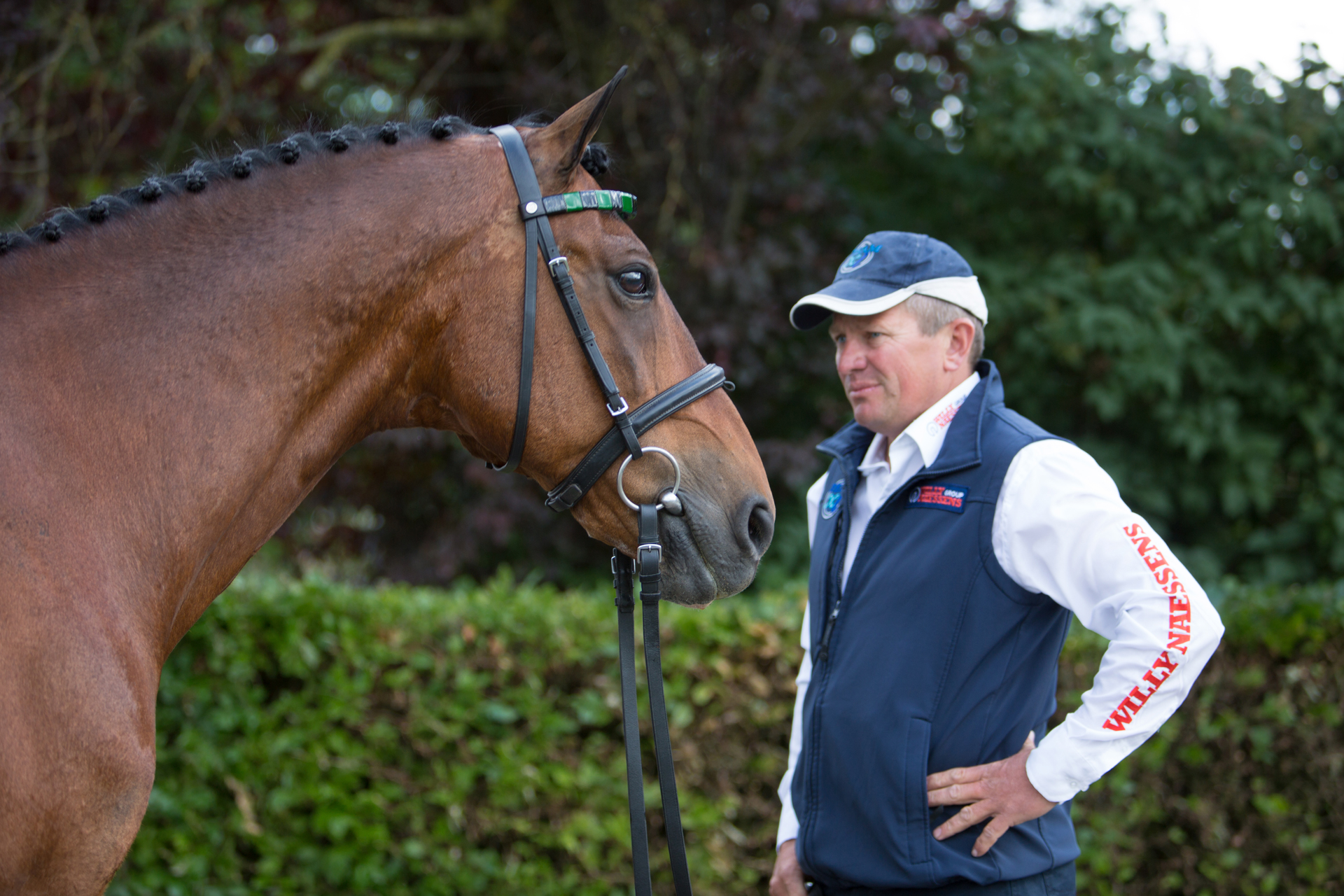 Zilco Harness for Winner Horse Teams Marathon - DVI - Driving Valkenswaard  International