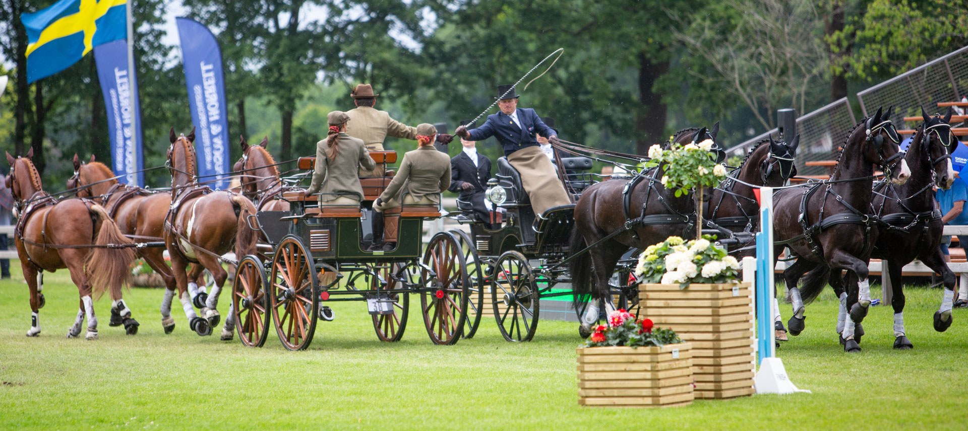 Zilco Harness for Winner Horse Teams Marathon - DVI - Driving Valkenswaard  International