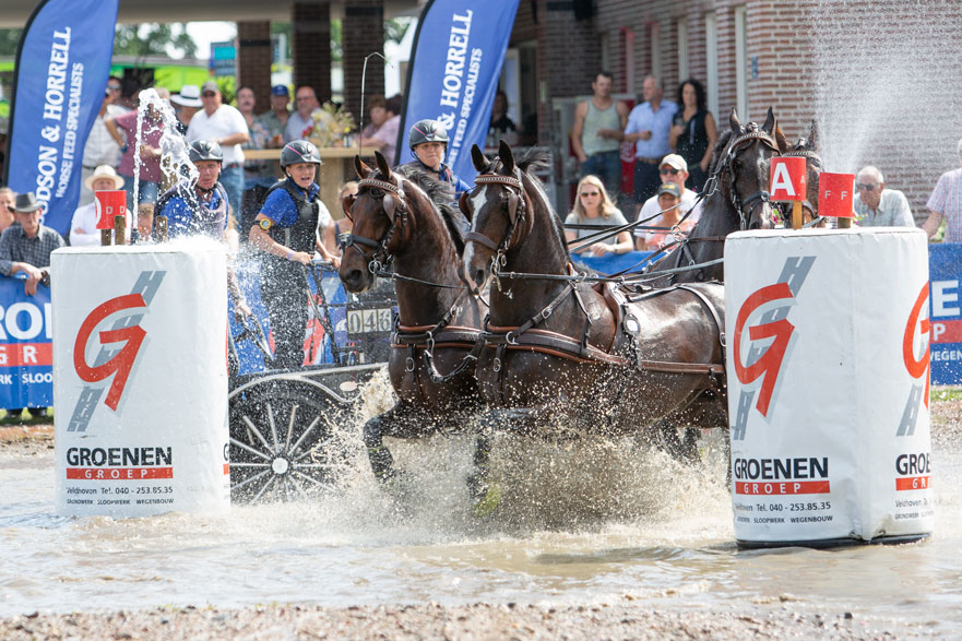 Van der Wiel single harness for winner Pro-Am Challenge - DVI - Driving  Valkenswaard International