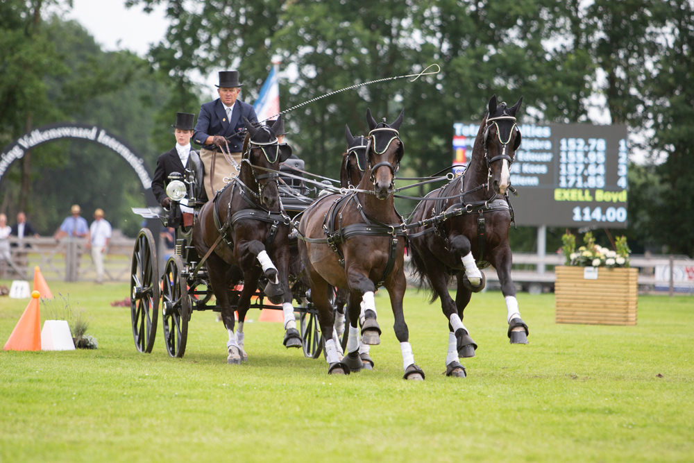 Zilco Harness for Winner Horse Teams Marathon - DVI - Driving Valkenswaard  International